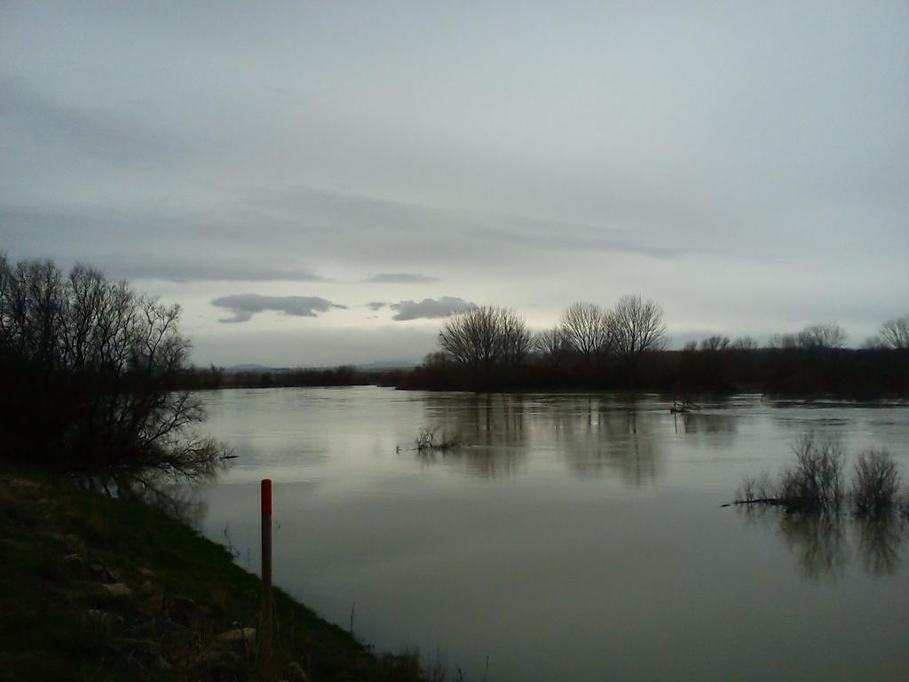La Palmera De La Insula Alcala de Ebro Eksteriør bilde