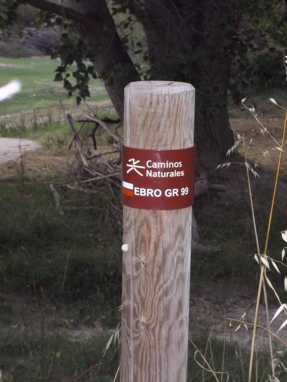 La Palmera De La Insula Alcala de Ebro Eksteriør bilde